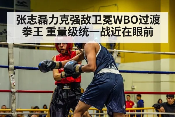 张志磊力克强敌卫冕WBO过渡拳王 重量级统一战近在眼前
