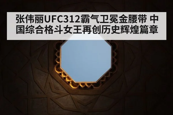 UFC octagon