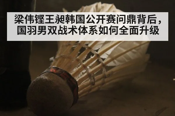 梁伟铿王昶韩国公开赛问鼎背后，国羽男双战术体系如何全面升级